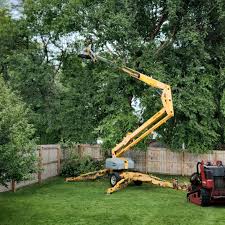 Best Tree Health Inspection  in Angwin, CA